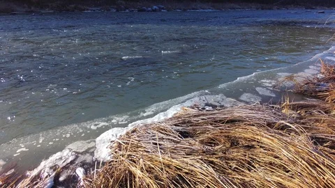 Autumn time river Stock Footage 97811141