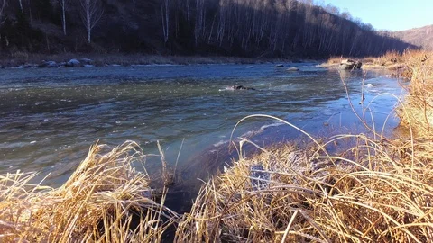 Autumn time river Stock Footage 97811162