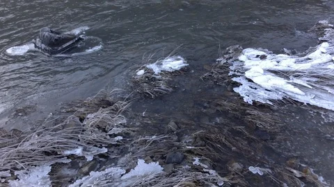 Autumn time river Stock Footage 97811300