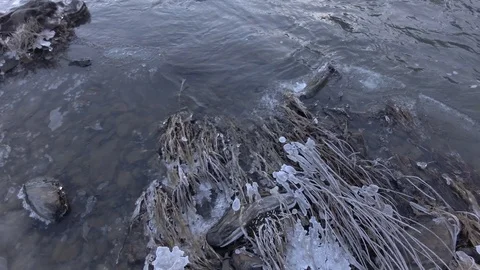 Autumn time river Stock Footage 97811313