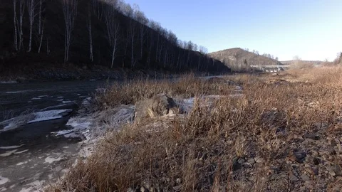 Autumn time river Stock Footage 97811396