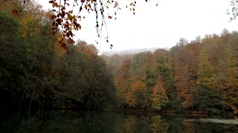 Autumn Timelapse Stock Footage 44085068