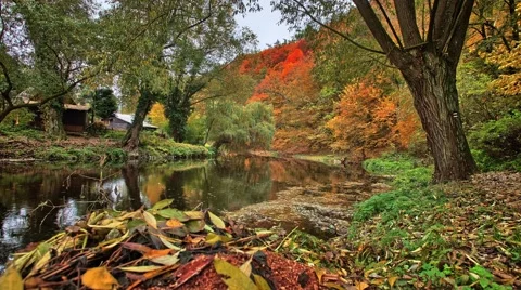 Autumn timelapse with river Video stock 67863043