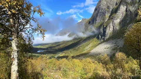 Autumn Timelapse of Yellow Forest and misty mounta Stock Footage 337364984