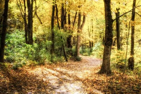 Autumn Trail Fotos de archivo
