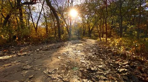 Autumn Trail Foto stock
