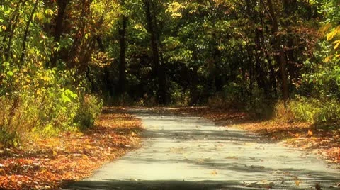 Autumn Trail Slow Motion Stock Footage 8930958