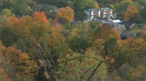 Autumn- Train 02 Stock Footage 12593325