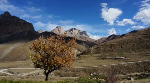 Autumn tree on a background of mountains and sky. Timelapse Stock Footage 59065137