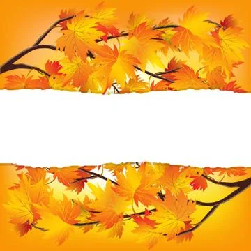 Autumn tree branches Stock Illustration