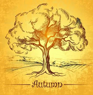 Autumn tree. defoliation leaf fall Stock Illustration