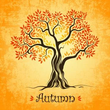 Autumn tree. defoliation leaf fall Stock Illustration
