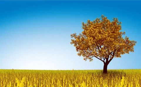Autumn tree on field 库存插图