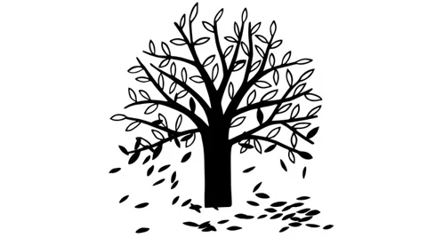 Autumn tree Stock Footage 35570514