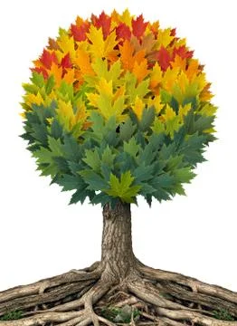 Autumn tree Иллюстрация