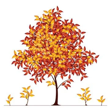 Autumn tree Stock Illustration