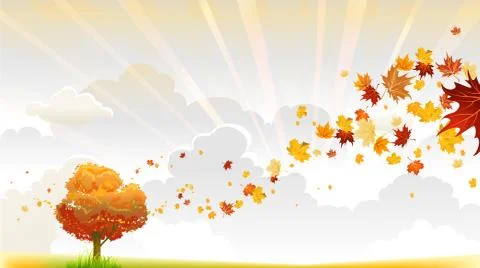 Autumn tree Stock Illustration