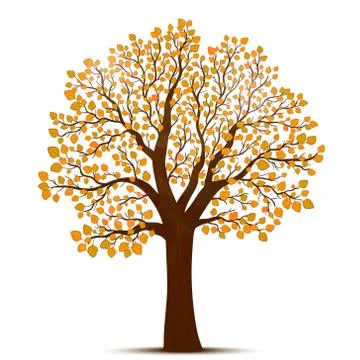 Autumn tree Stock Illustration