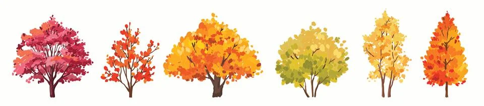 Autumn tree illustration set, fall season bush hand drawn forest oil painting Stock-Illustration