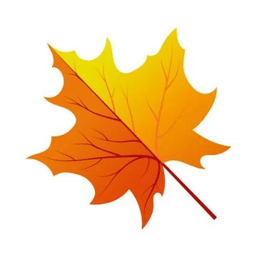 Autumn Tree Leaf Stock Illustration