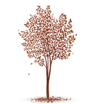 Autumn tree with leaves on white background Stock Illustration