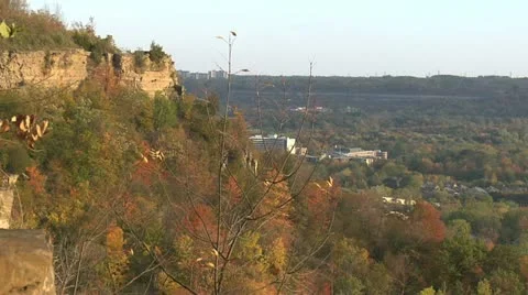 Autumn - tree - leaves - wind-hillside 007 Stock Footage 12617547