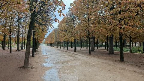 Autumn tree lined pathway in Paris park, France Photos