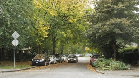Autumn tree lined street in small town neighbourhood Video stock 96023931