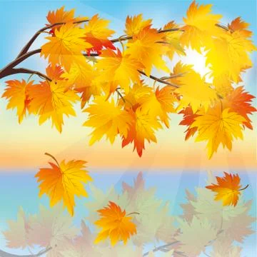 Autumn tree maple on background of sunset Stock Illustration