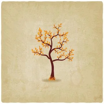 Autumn tree old background Illustrazione stock