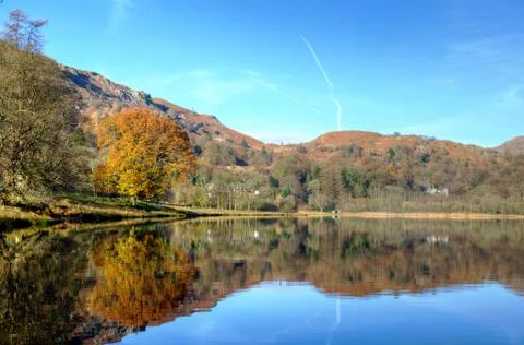 Autumn tree reflected in Grasmere Stock Photos