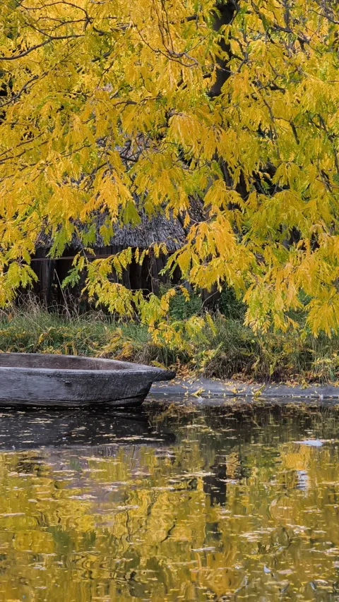 Autumn tree reflection in a calm pond Stockbeeldmateriaal 347803629