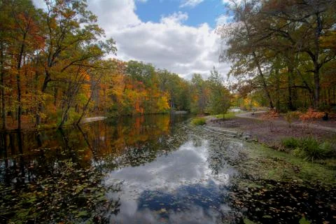 Autumn Tree Reflections Foto stock