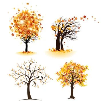 Autumn tree set Stock Illustration