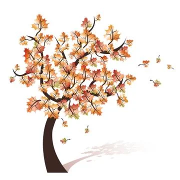 Autumn tree with shadow, vector illustration Stock Illustration