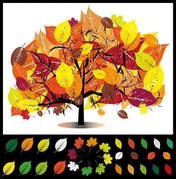 Autumn tree vector illustration Stock Illustration