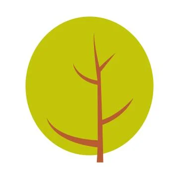 Autumn tree vector illustration. Isolated on white. Cartoon flat style. Illustrazione stock