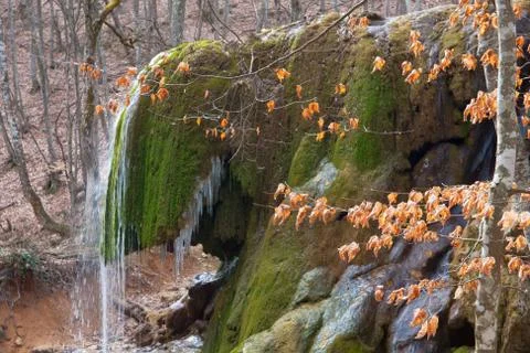Autumn tree on waterfall background Stock Photos