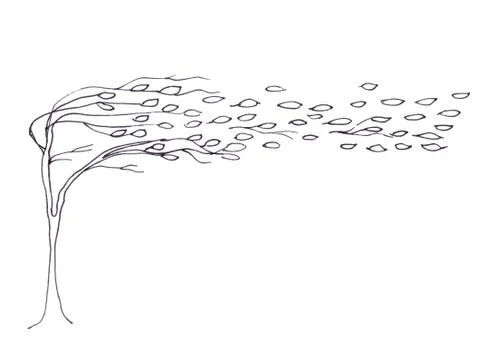 Autumn tree in the wind with falling leaves, graphic black and white pattern, 스톡 일러스트