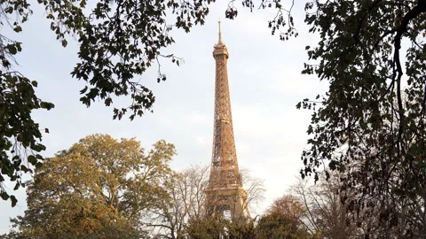 Autumn trees and Eiffel Tower in Paris, France Stock Footage 224139836