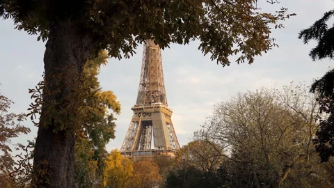 Autumn trees and Eiffel tower a day of october in Paris, France Stock Footage 224140128