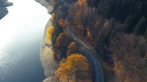 Autumn trees and road Stock Footage 220191270