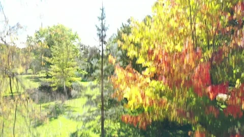 Autumn trees and the sky Stock Footage 218408232