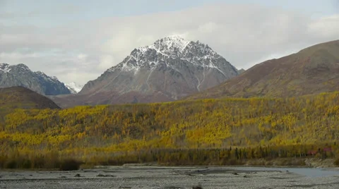Autumn Trees and Snow-Capped Mountina Stock Footage 38108902