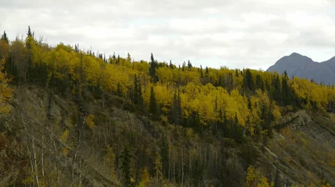 Autumn Trees Atop Bluff Stock Footage 38095571