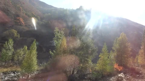 Autumn trees behind the window of a bus Stock Footage 178529522