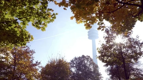 Autumn trees from below Stock Footage 70657042