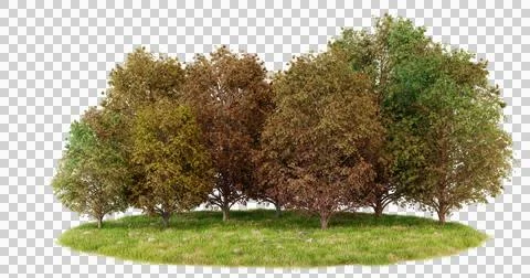 Autumn trees on a circular patch of green grass Stock Photos