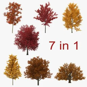 Autumn Trees Collection 3D Model