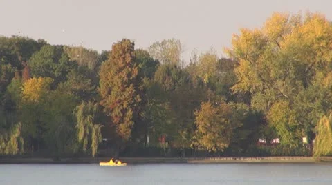 AUTUMN TREES Vídeos de archivo 8924981